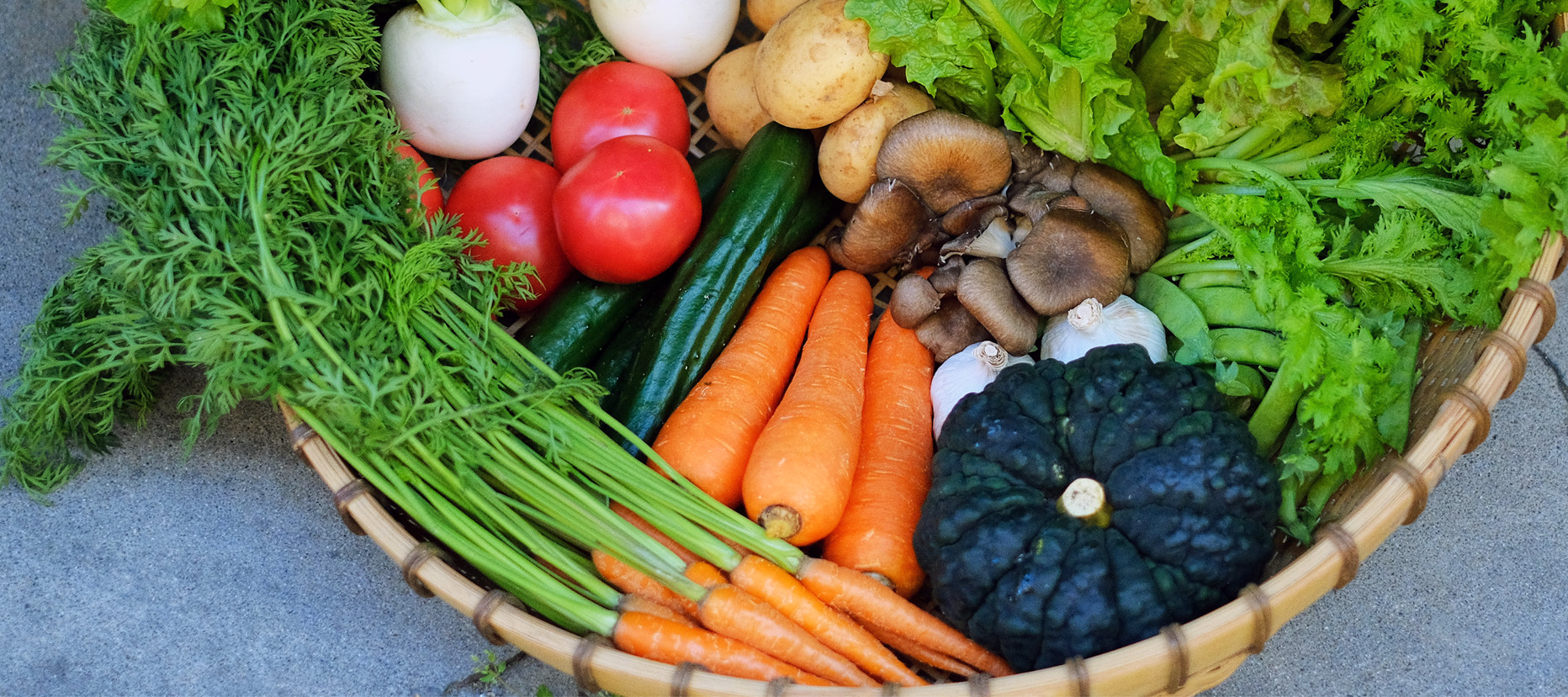 カフェグリーンドアの自家菜園野菜使用